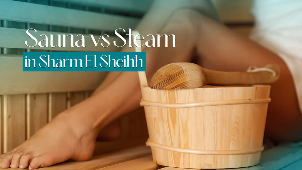 Sauna Vs Steam Sharm El Sheikh